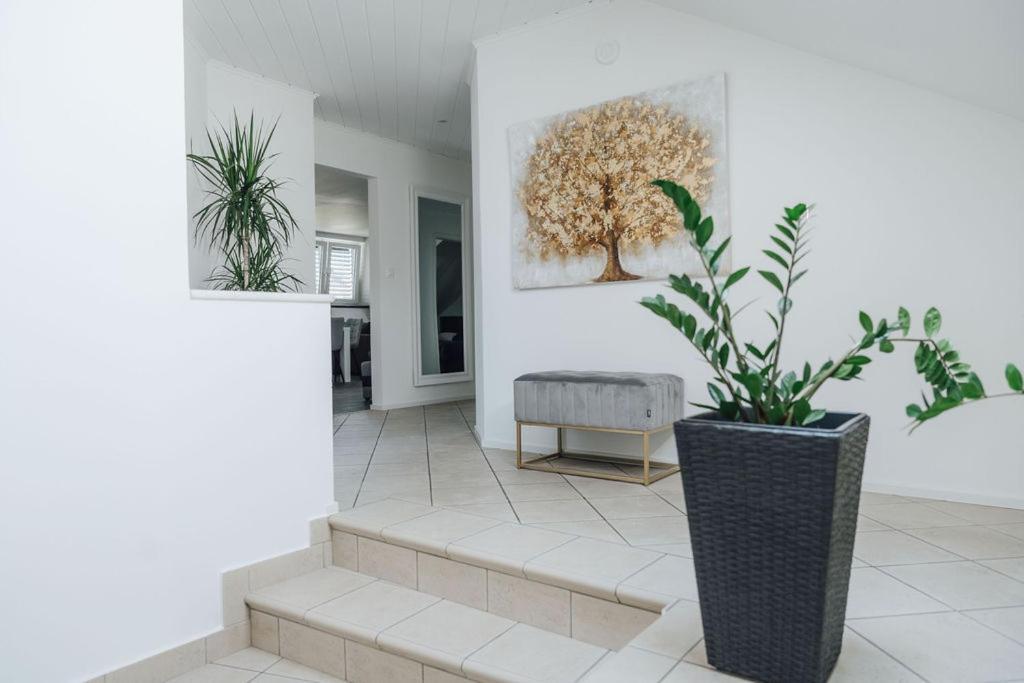Apartment Palace Garden